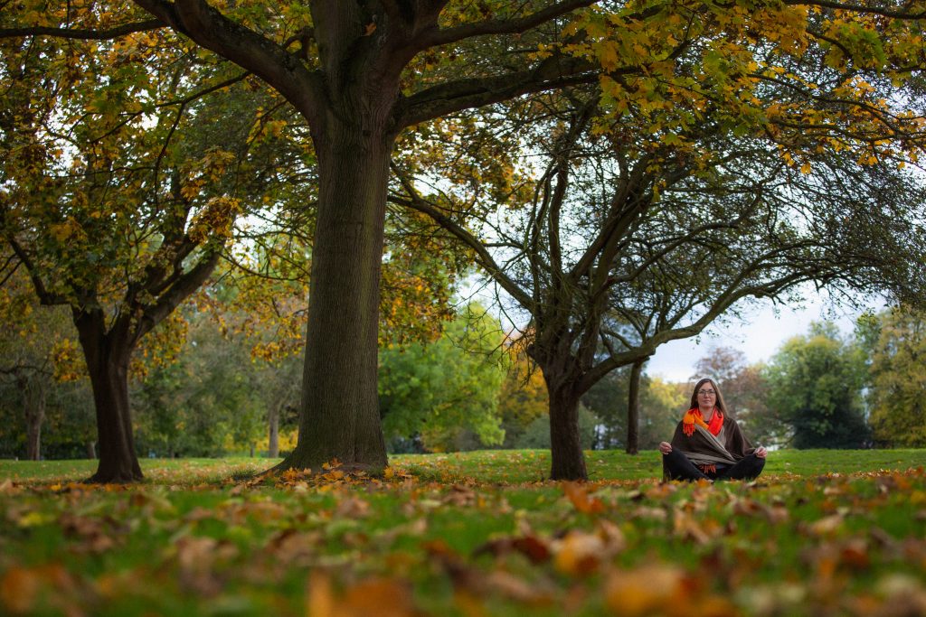 Autumn Meditation